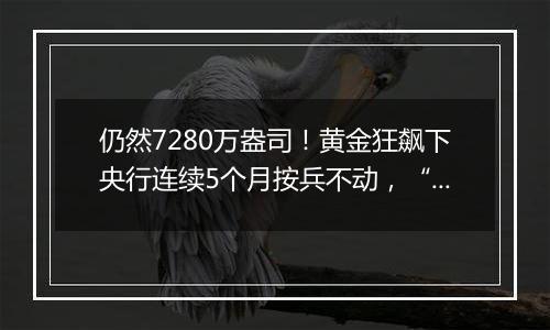 仍然7280万盎司!黄金狂飙下央行连续5个月按兵不动,“金九”之后会有“金十”吗?