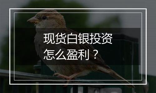 现货白银投资怎么盈利?