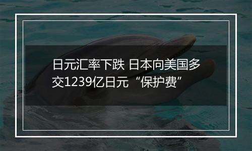 日元汇率下跌 日本向美国多交1239亿日元“保护费”