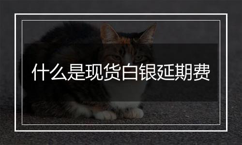 什么是现货白银延期费