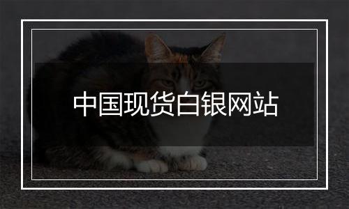 中国现货白银网站