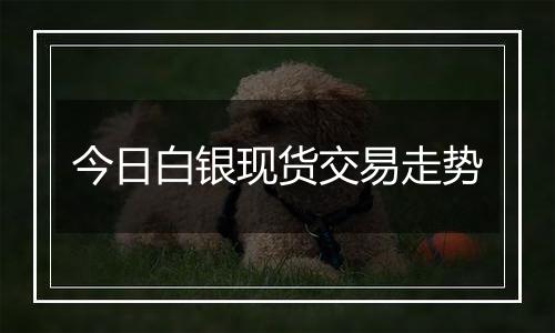 今日白银现货交易走势