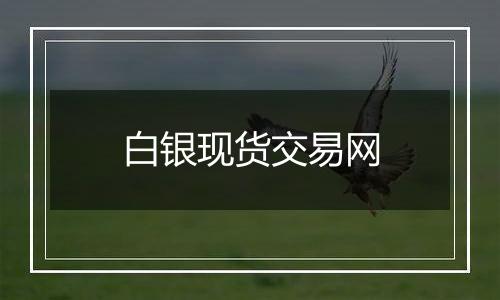 白银现货交易网