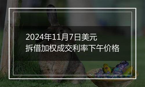 2024年11月7日美元拆借加权成交利率下午价格