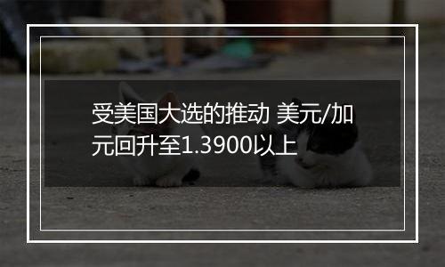 受美国大选的推动 美元/加元回升至1.3900以上