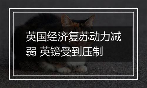 英国经济复苏动力减弱 英镑受到压制