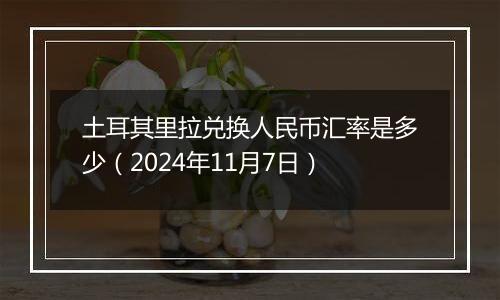 土耳其里拉兑换人民币汇率是多少(2024年11月7日)
