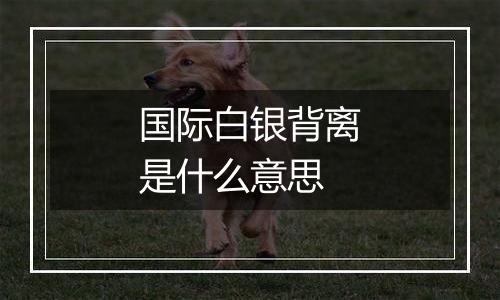 国际白银背离是什么意思