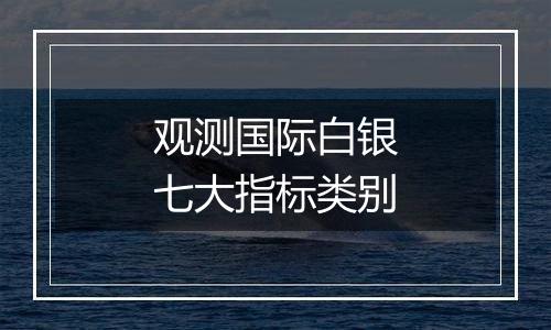观测国际白银七大指标类别