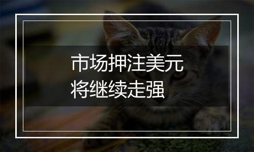 市场押注美元将继续走强
