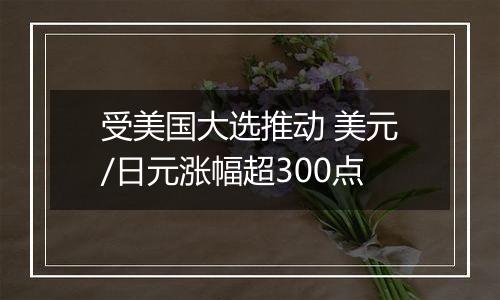 受美国大选推动 美元/日元涨幅超300点