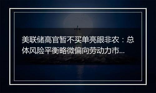 美联储高官暂不买单亮眼非农:总体风险平衡略微偏向劳动力市场面临逆风