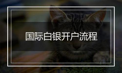 国际白银开户流程