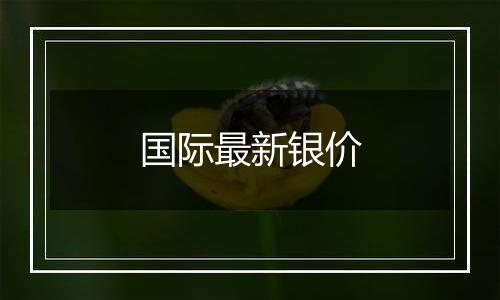 国际最新银价