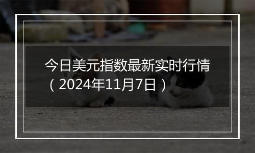 今日美元指数最新实时行情(2024年11月7日)