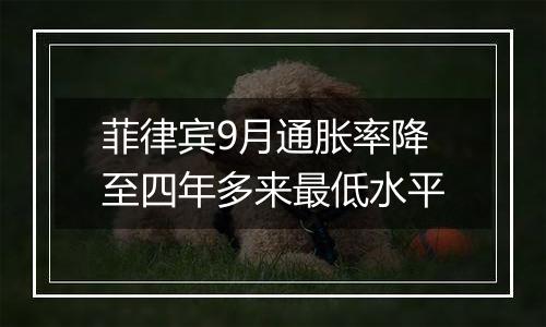 菲律宾9月通胀率降至四年多来最低水平