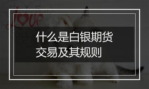 什么是白银期货交易及其规则