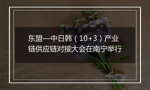 东盟—中日韩(10+3)产业链供应链对接大会在南宁举行