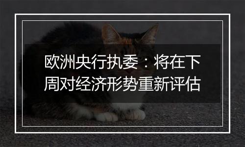 欧洲央行执委:将在下周对经济形势重新评估