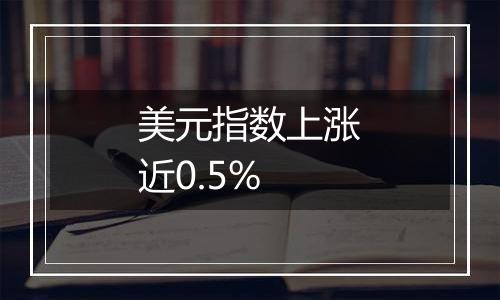 美元指数上涨近0.5%