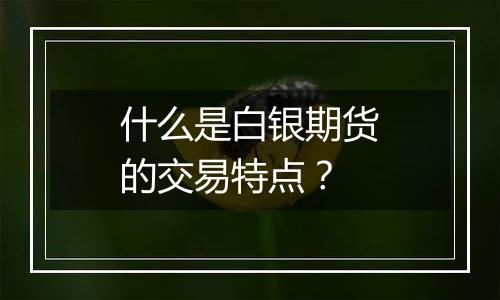 什么是白银期货的交易特点?