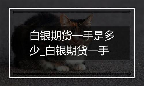 白银期货一手是多少_白银期货一手