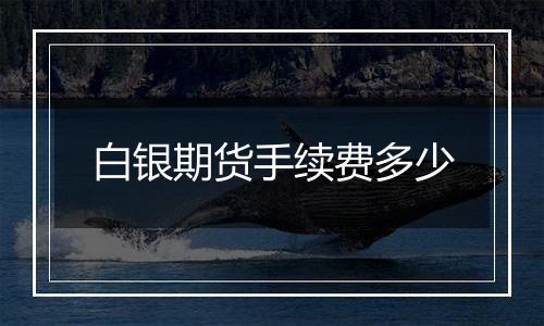 白银期货手续费多少