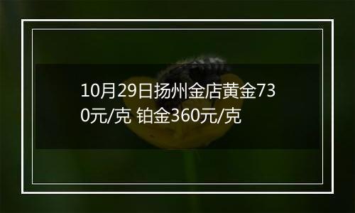 10月29日扬州金店黄金730元/克 铂金360元/克