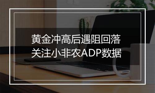 黄金冲高后遇阻回落 关注小非农ADP数据