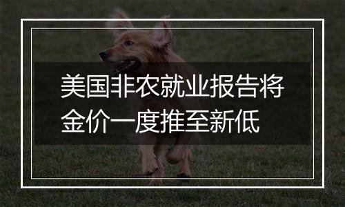 美国非农就业报告将金价一度推至新低