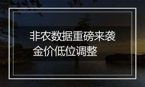 非农数据重磅来袭 金价低位调整
