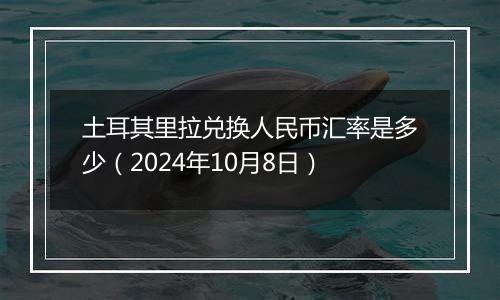 土耳其里拉兑换人民币汇率是多少(2024年10月8日)