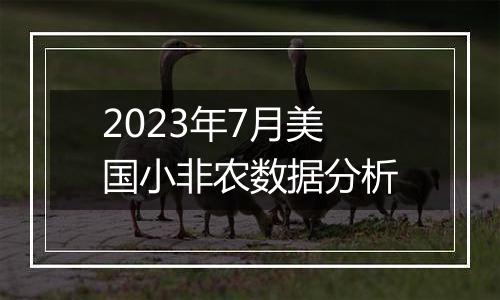 2023年7月美国小非农数据分析