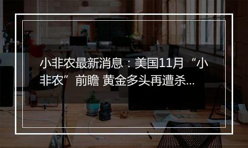 小非农最新消息:美国11月“小非农”前瞻 黄金多头再遭杀戮?