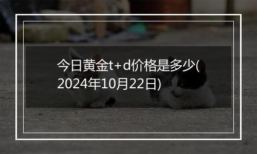 今日黄金t+d价格是多少(2024年10月22日)