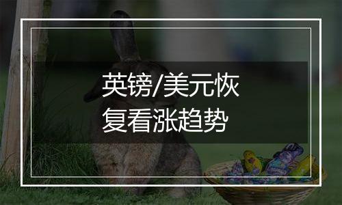 英镑/美元恢复看涨趋势