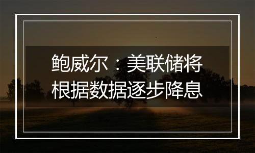 鲍威尔:美联储将根据数据逐步降息
