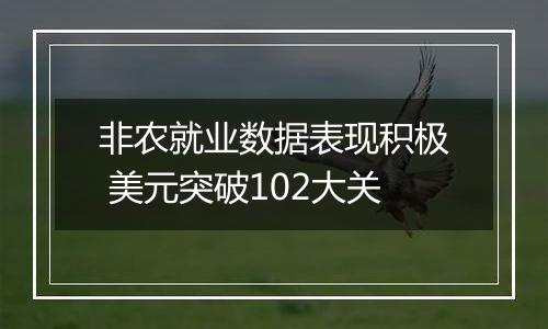 非农就业数据表现积极 美元突破102大关