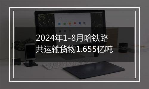 2024年1-8月哈铁路共运输货物1.655亿吨