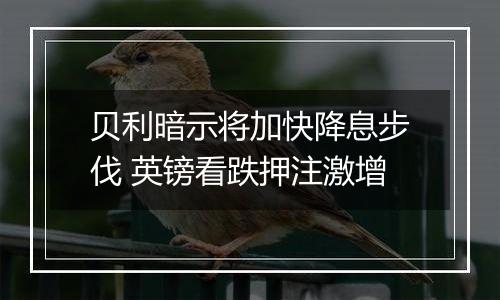 贝利暗示将加快降息步伐 英镑看跌押注激增