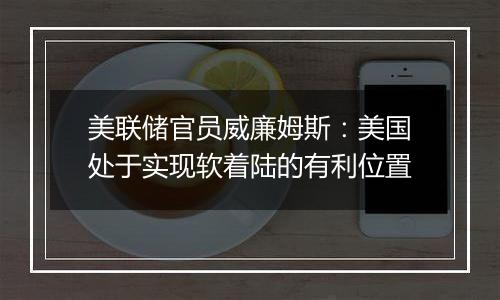 美联储官员威廉姆斯:美国处于实现软着陆的有利位置