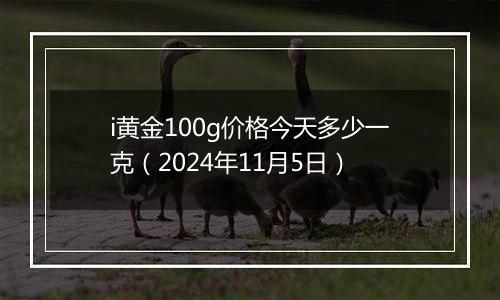 i黄金100g价格今天多少一克（2024年11月5日）