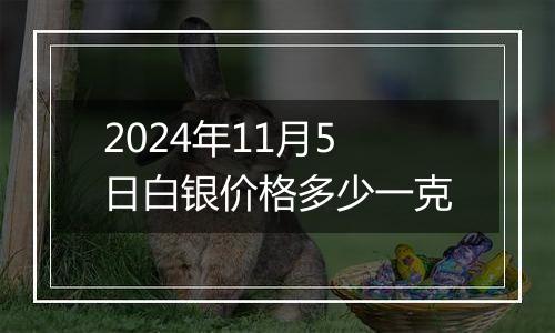 2024年11月5日白银价格多少一克