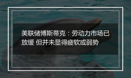 美联储博斯蒂克:劳动力市场已放缓 但并未显得疲软或弱势