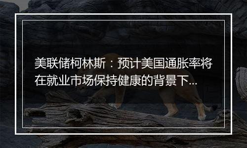 美联储柯林斯:预计美国通胀率将在就业市场保持健康的背景下降至2%