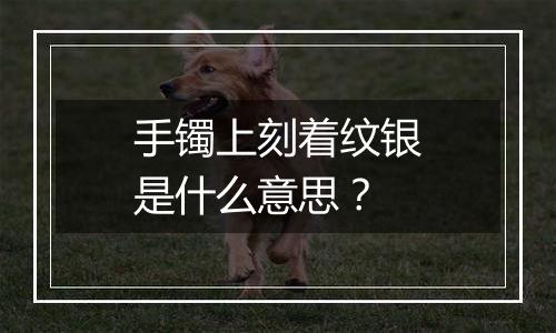 手镯上刻着纹银是什么意思?