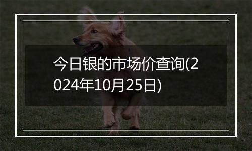 今日银的市场价查询(2024年10月25日)