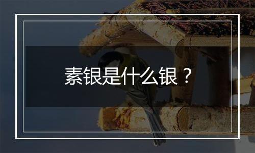 素银是什么银?