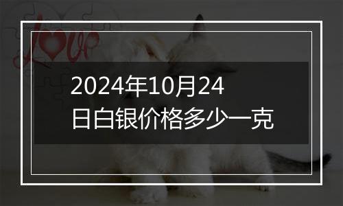 2024年10月24日白银价格多少一克