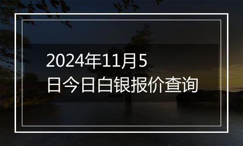 2024年11月5日今日白银报价查询